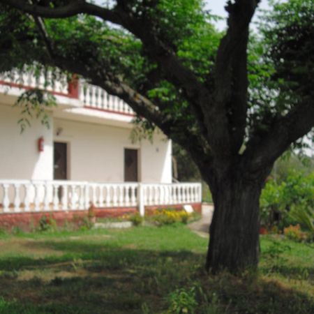Corfu Country House Vitaládes Zimmer foto
