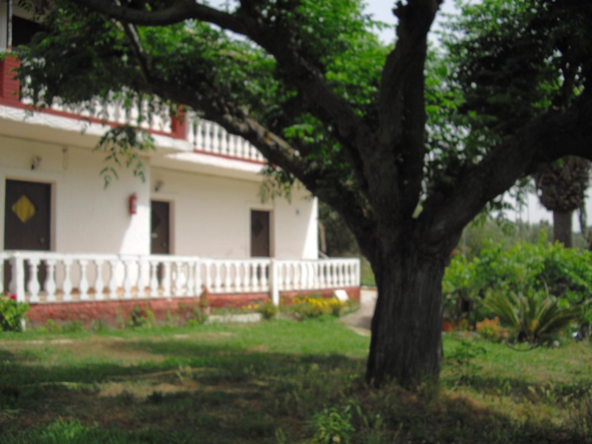 Corfu Country House Vitaládes Zimmer foto
